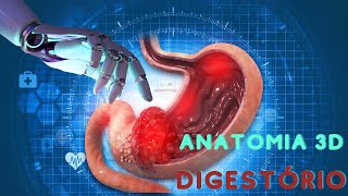 Anatomia 3D Sistema DIGESTÓRIO