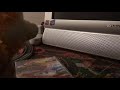 Youppi And Mario Watch The THX Logo