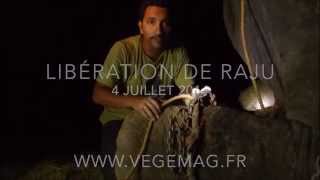 Libération de l'éléphant Raju après 50 ans de torture