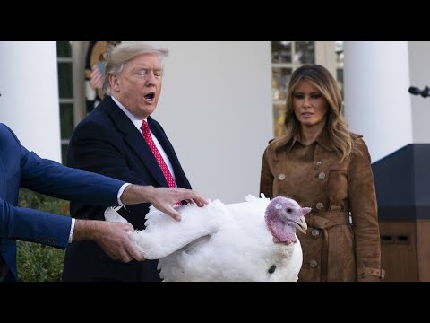 Trump pardons again – this time turkeys