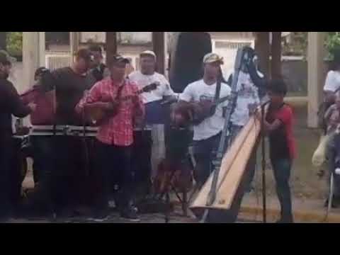 Feyber Beltrán alumno de arpa casa de cultura Rómulo Gallegos San Fernando De Apure