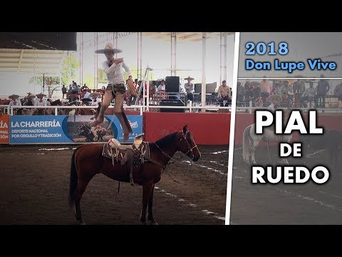 Excellent demonstration of the PIAL DE RUEDO - Don Lupe Vive 2018