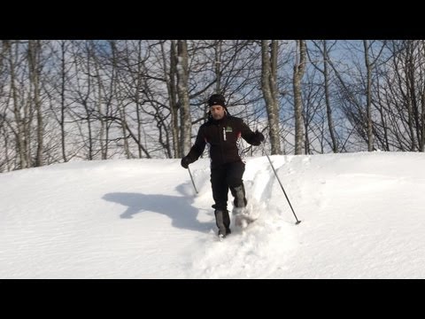 Video di Casone di Profecchia