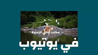 اغاني زغاوة - بري بور - فنان بخيت بيلة - بري بوري