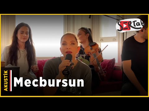 Mecbursun のサムネイル