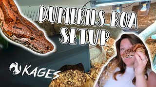 6 Foot Dumerils Boa Setup // 6x3x2 Kages PVC Enclosure
