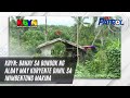 KBYN Bahay Sa Bundok Ng Albay May Kuryente Dahil Sa Inimbentong Makina TV Patrol