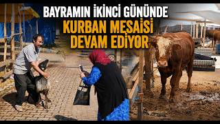 Bayramın İkinci Gününde Kurban Mesaisi Devam Ediyor