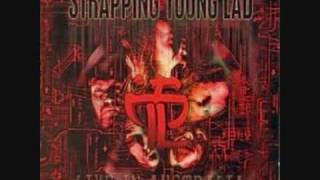 Strapping Young Lad - Centipede (Bonus Track)