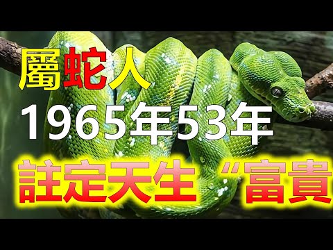 蛇的五行屬性