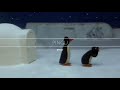 Pingu Run Away Clip