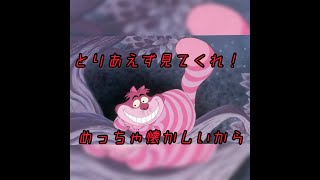 大丈夫？迷い込んじゃったのかなぁ？