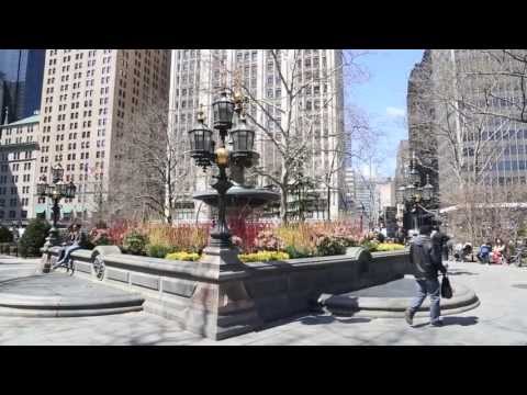 New York's Woolworth Building at 100