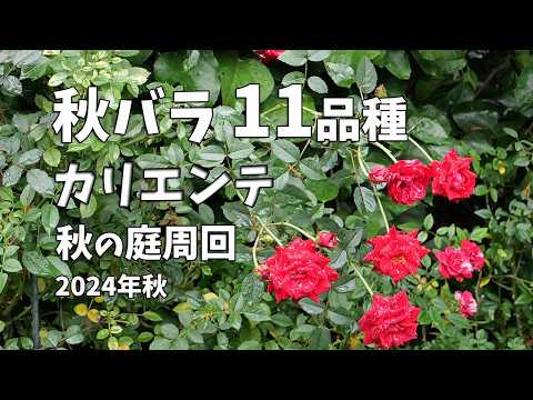プライバシースクリーン 人工竹生垣 エレガント 魅惑的 モダン