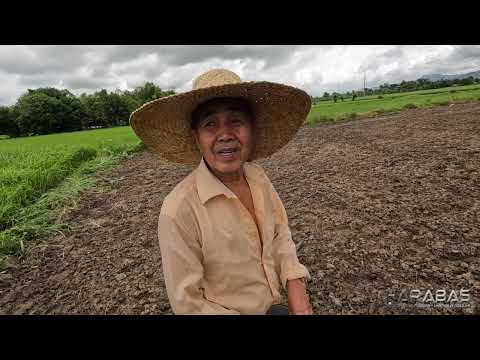 EP760-P1 - Pagtatanim ng Iba’t ibang Gulay sa Bukid
