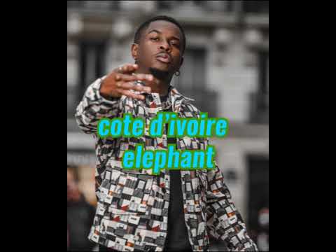 Didi b ft afro B - Puissant ( vidéo lyrics)