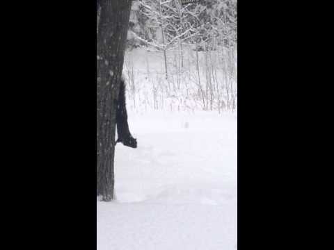 URF! I WANT MY KERN!