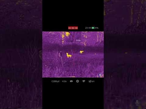 How The Nocpix Naming Scheme Works