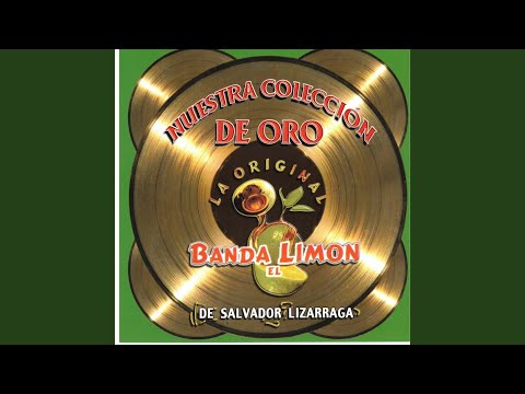 Si Por Casualidad - La Banda El Limon