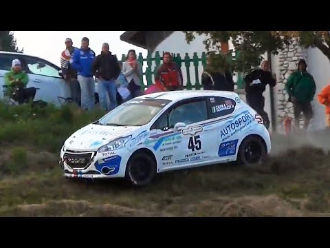 33° Rally Città di Bassano 2016 - Crash & Pure Sound