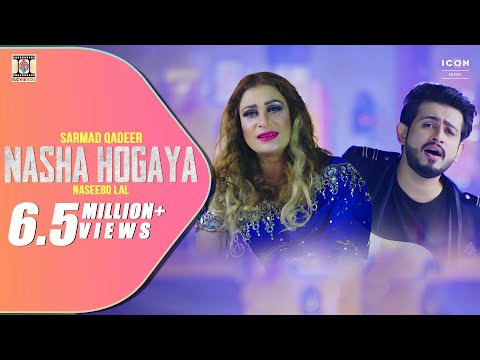 Nasha Hogaya