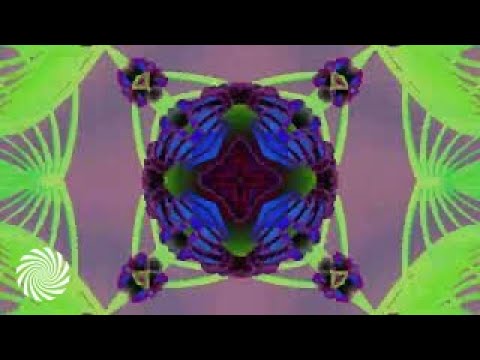 Nukleall & M - Theory - Hontou