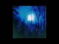 Flying Saucer Attack - Further (1995) Full Album
