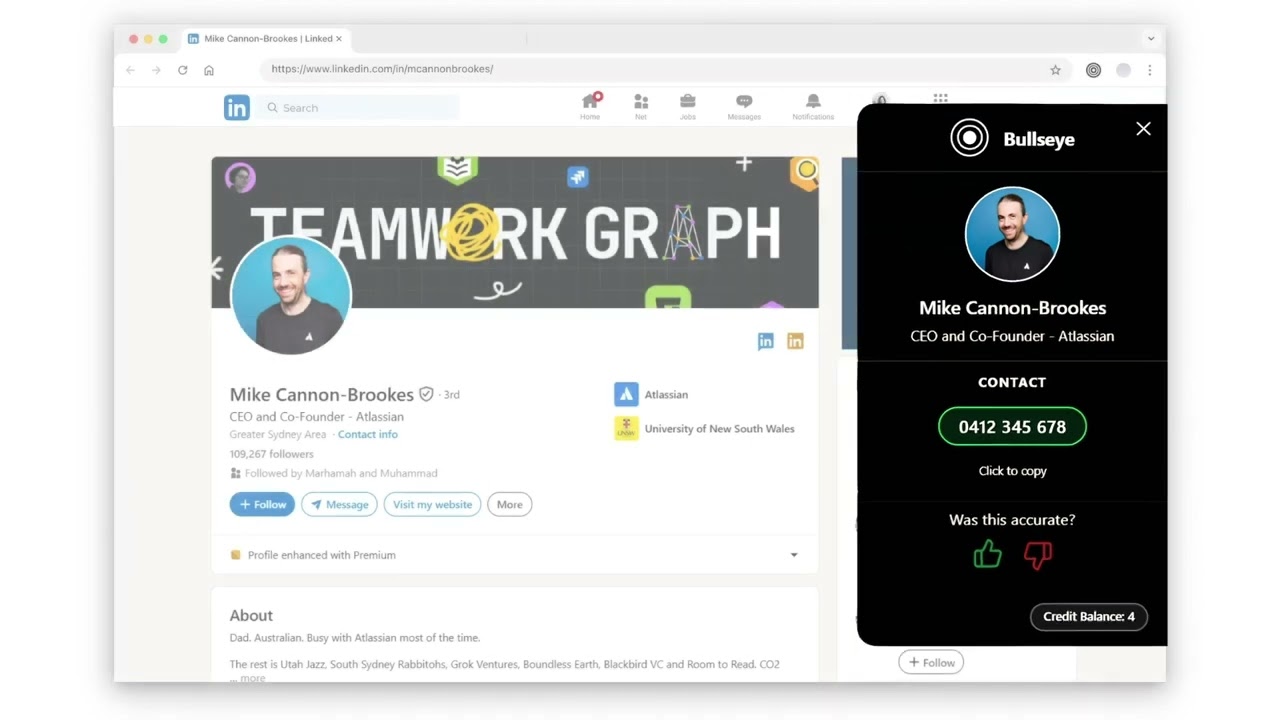 Bullseye demo - see how it works