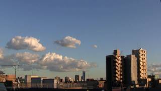 The Fortunes / She&#39;s sure the girl I love