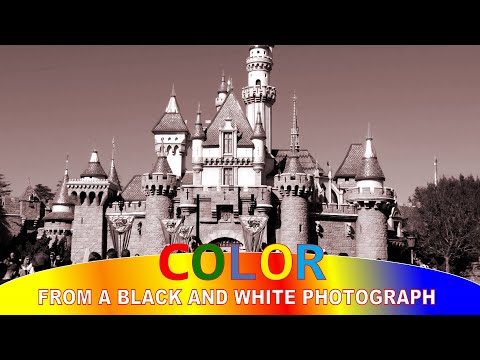 OPTICAL TRICK - BLACK & WHITE IMAGE TURN COLOUR - ILLUSION