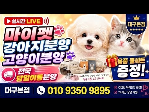 강아지분양 고양이분양 라이브❤️전국어디든분양가능❤️라이브 실시간…