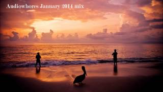 Audiowhores in the mix | January 2014