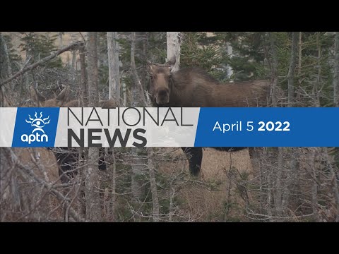 APTN National News April 5, 2022 – Reaction to Pope’s apology continues, Northern Manitoba search