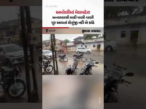 અમરેલીમાં મેઘમહેર! અનરાધારથી લાઠી પાણી-પાણી, પૂર આવતાં શેત્રુંજી નદી બે કાંઠે અમરેલીમાં મેઘમહેર! અનરાધારથી લાઠી પાણી-પાણી, પૂર આવતાં શેત્રુંજી નદી બે કાંઠે