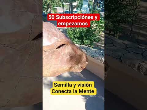 50 subscripciónes para la cultura #sanjavieryacanto#cordoba