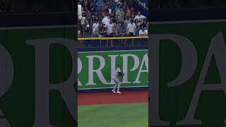 Cody Bellinger makes the leaping grab ????