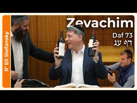 Daf Yomi Zevachim Daf 73 by R' Eli Stefansky