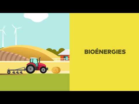 Démystifions les bioénergies