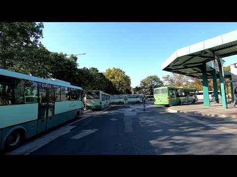 Siófok 8-as járat; Autóbusz-állomás - Szőlőhegyi út - Somogyfok - Autóbusz-állomás