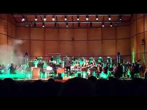 ELP Pictures at an exhibition orchestral - 03 Old castle - Blues variation