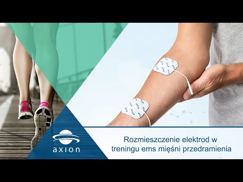 Chemia dla początkujących kulturystów Funkcja zewnętrznego mięśnia skośnego