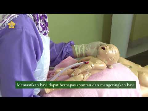 Keterampilan Persalinan Normal - Dr. dr. Cut Meurah Yeni, Sp.OG (K)