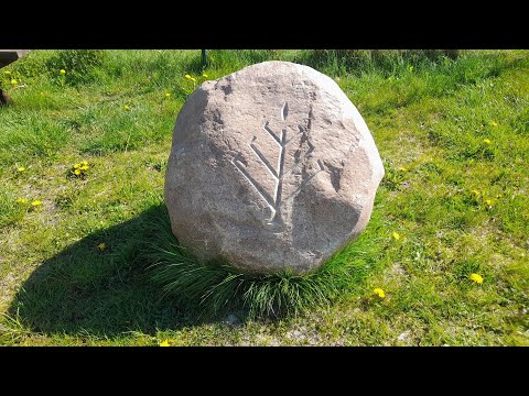 Plaża w Pluskach - Jezioro Pluszne Wielkie 04.2024 (53°36'22.8"N 20°25'05.8"E)