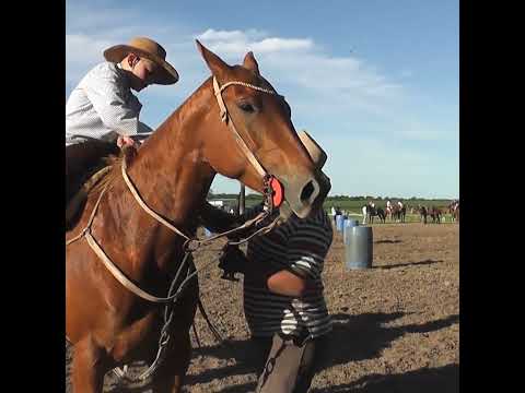 Final de MENORES en pruebas de riendas en Oro Verde Entre Rios