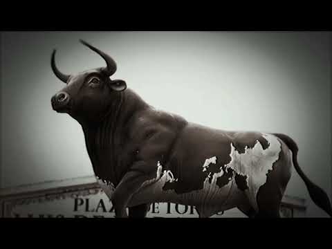 Mini documental Plaza de toros San Miguel de Bolívar 