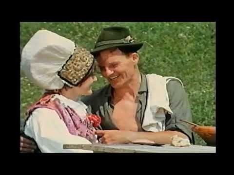 Ansambel bratov Avsenik - videospoti