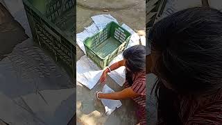 Download lagu fruit crate 👍 #shorts mp3 Download lagu fruit crate 👍 #shorts mp3