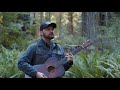 Oo De Lally Live From Redwood National Park Roger Miller Cover Robin Hood Adam Chance