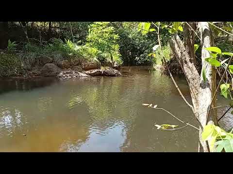 El Río La Boquita, El Salado, San Juan de Dios, Antón, Coclé.
