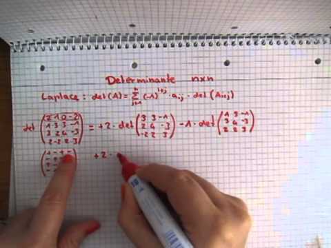 Determinante einer nXn Matrix berechnen